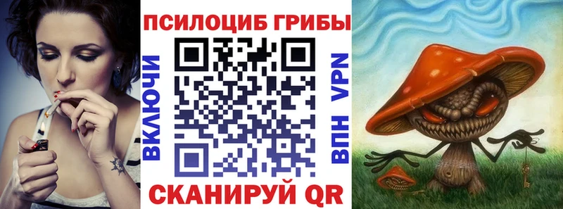 Псилоцибиновые грибы мицелий Приморск
